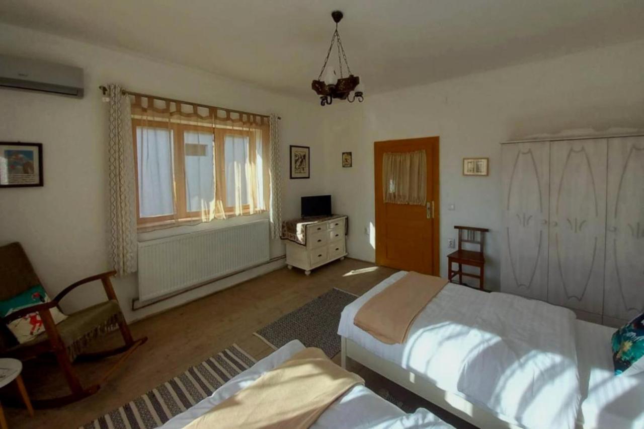 Galeria Turismului Montan ξενώνας Cîrţişoara Εξωτερικό φωτογραφία